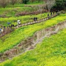 색달동-24 이미지