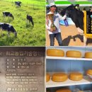 삼민목장 이미지