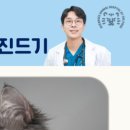 호랑이 동물병원 이미지