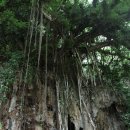 성모농장 이미지