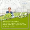 원주생명농업 이미지