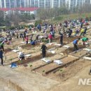 친환경나눔텃밭 이미지