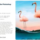 포토샵 기초 & GTQ 포토샵 2급 이미지