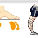 웰러스짐 이미지