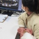 가경 나음 동물병원 이미지