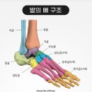 황금한의원 이미지