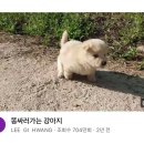 동진카써비스 | 나의 보폭으로 나의 길을!