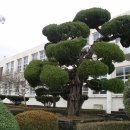 해룡초등학교 이미지