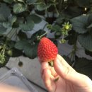 수문농장 이미지