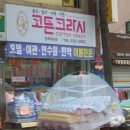 코튼크라시 Daum카페