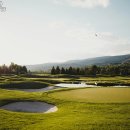 웰링턴컨트리클럽 이미지