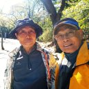 908회 화요산악회 걷기행사 이미지