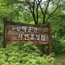 숲속힐링 | 원주 국립백운산자연휴양림 아이와 산책하기 좋은 숲속 힐링 명소 후기