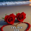 진국 이미지