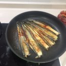 진동돌장어 이미지