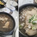 회복참옻닭