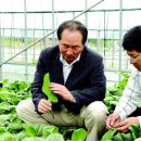 평창군 미탄면 이미지