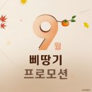 삐땅기의원 이미지