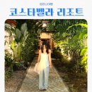 비치 | 세부 리조트 추천 코스타벨라 트로피컬 비치 호텔 후기