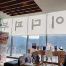 박성주조에피부과의원 | 서울특별시 강남구 도곡1동 대상포진 전문병원 추천 | 무료접종 | 예방접종