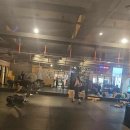 고강도 다이어트짐 구월점PT 이미지