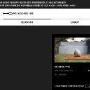 호암미술관 | 호암미술관 사진 찍고 논 후기 (이우환 야외전시)