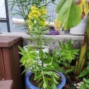 기린초등학교 이미지