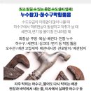 스테이인수동 네이버블로그