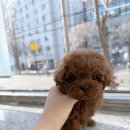 멍개구름 네이버블로그
