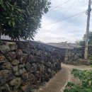 곤을동환해장성 이미지