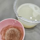 댕댕사우나 네이버블로그