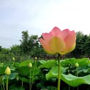 바다향기수목원(바다너울원) 이미지