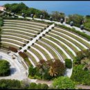 까멜리아 이미지