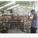 철이축산 이미지