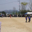 구즉초교 Daum카페