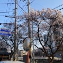 날나리헤어샵 네이버블로그