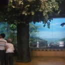 경상북도산림과학박물관 이미지