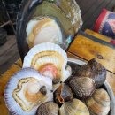 만선민박 | [제부도조개구이] 제부도 만선횟집(+민박패키지)조개구이, 내돈내산 진짜 후기