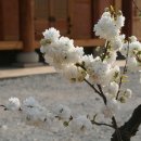 함박골큰기와집 이미지