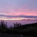 자연닮은 치유농장 이미지