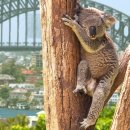 7, 8월 꼭 떠나야 할 여름 해외여행지 추천 BEST 7 (+준비물, 가성비, 주요명소) 이미지