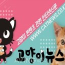 나루코주 에이빙