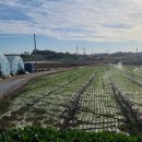 저동마을회관 이미지