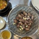 불타는돈갈매기 이미지