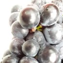 참뼈감자탕 이미지