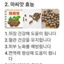 내일 탁구방 정모에 맛있는 마씨앗 쪄갑니다 이미지