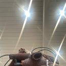 아르더짐 | 차홍아르더 본점 구름펌 젤리펌 생생 후기