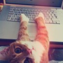 지방보조시스템 교육 | [쿠팡 PBS 사무보조 / 재택근무] 06. 쿠팡 재택근무 계약만료 D-30