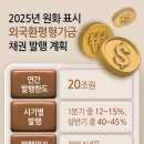 22년 만에 원화 표시 외평채 총 20조원 발행 이미지