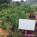 하신농장 이미지